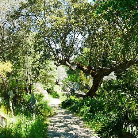 Serra Vida - A Place Of Presence Santo Antonio das Areias Exterior photo